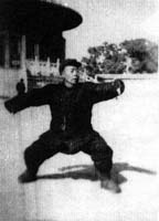 Master Cheng You Xin